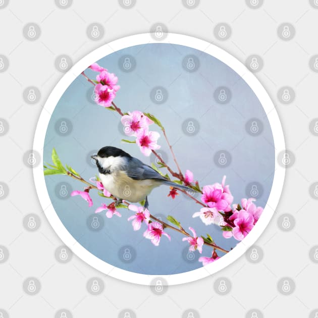 Carolina Chickadee and Peach Blossoms Magnet by lauradyoung